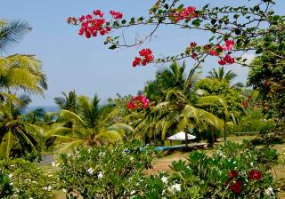 Blue Heights - Hiriketiya - 8