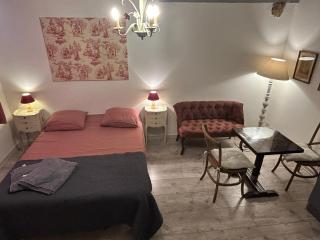 Le logis de l'hermine - Blois - 5