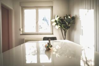 Maisonette Premium Apartment mit Dachterrasse für Business und Familie - 1