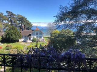 Appartement au lac dans villa de charme - Saint-Sulpice - 0
