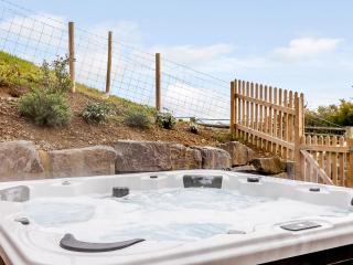 3 Bed in Welshpool 65018 - Llanfair Caereinion - 8