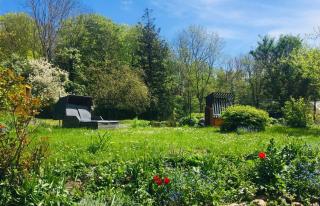 Ferienhaus-Fiete-XXL - Sagard - 6