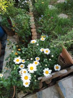 An Istanbul tale, an Istanbul dream, garden house - Istanbul - 7