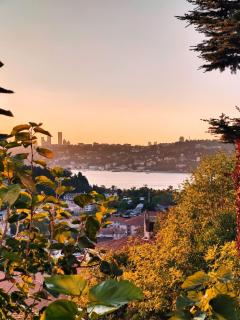 An Istanbul tale, an Istanbul dream, garden house - Istanbul - 0