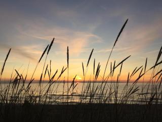 Holidays On The North Coast In Rågeleje, - Vejby - 8