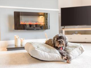 1 Bed in Old Colwyn 78154 - Old Colwyn - 8
