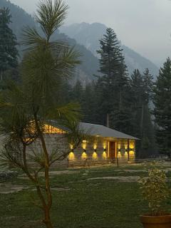 The Woodpecker - Glamps & Resorts - Tāl - 8
