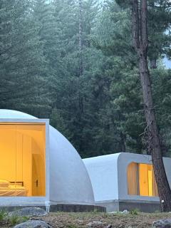 The Woodpecker - Glamps & Resorts - Tāl - 5