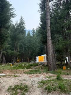 The Woodpecker - Glamps & Resorts - Tāl - 4