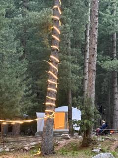 The Woodpecker - Glamps & Resorts - Tāl - 1