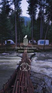 The Woodpecker - Glamps & Resorts - Tāl - 0