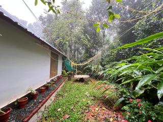 Adams HEAVEN - Anachal - 2