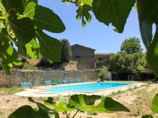 Villa familiale près de Laure-Minervois avec piscine - Laure-Minervois - 8