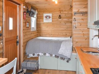 Tyr Bugail Shepherds Hut - Llanddwywe - 9
