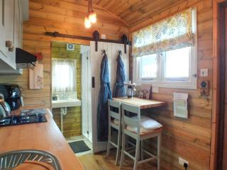 Tyr Bugail Shepherds Hut - Llanddwywe - 8