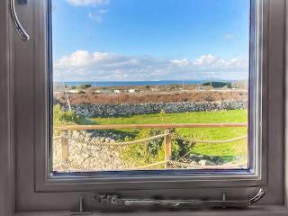 Tyr Bugail Shepherds Hut - Llanddwywe - 2