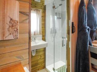 Tyr Bugail Shepherds Hut - Llanddwywe - 3