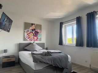 Eröffnungsangebot 100 qm Casa Daniela Donau Exclusive - Vilshofen an der Donau - 5