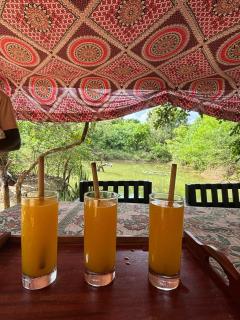 Jungle Cabin - Bundala - 4