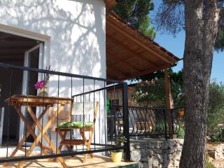 Robinson house Kata - Milna - 2
