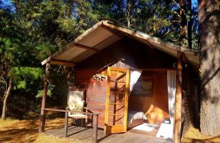 Whistling Woods Cabin - Elandskop - 0