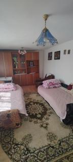 Guesthouse Sjenicic - Guča - 1
