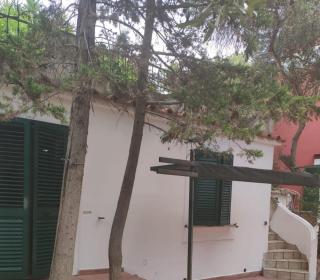 La Perla di Procida - Deliziosa Casa Mare e Relax in un Atmosfera Unica! - Procida - 0