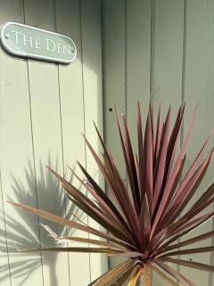 The Den - Newlyn East - 8