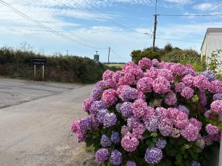 The Den - Newlyn East - 3