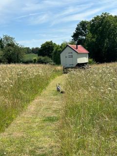 The Shepherds Hut - Hindringham - 6