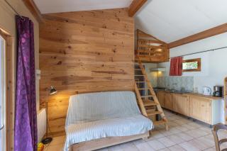 Chalet Bleu - Piscine Partagée - Darbres - 7