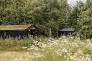 Resort Wilsumer Berge - Wilsum - 6