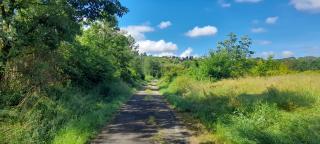 Into the wild - Castelletto d'Orba - 7