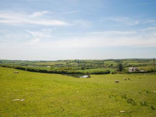1 Bed in Godshill IC146 - Godshill - 3