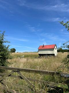 The Shepherds Hut - Hindringham - 9