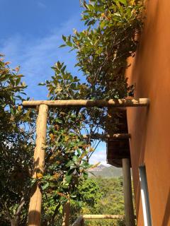 Girassóis do Vale - 9