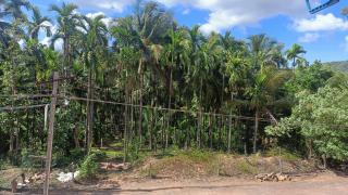Saketa Homestay - 1