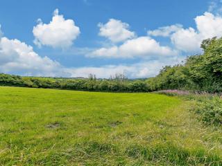 3 Bed in New Quay LLWYD - Pencader - 8