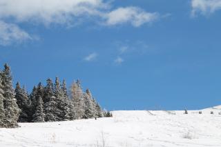 Feriendorf Koralpe Chalet Alpenperle - 8