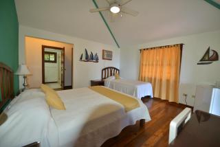 Seagrape Plantation Resort & Dive Center - West End - 9