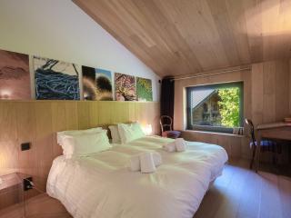 Chalet contemporain avec sauna, cheminée, et grand jardin - FR-1-343-243 - Chamonix-Mont-Blanc - 6