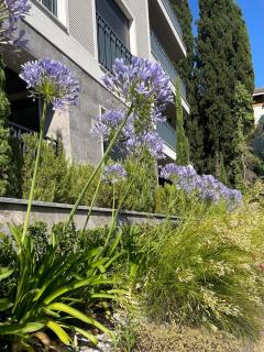 Next door One & Only Portonovi - 9