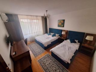 Vila De la Lugas - Oradea - 9