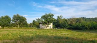 Into the wild - Castelletto d'Orba - 9