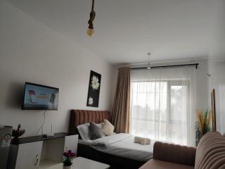 A Cosy Modern Affordable Furnished Studio Located in Tsavo Fedha - Nairobi - 4