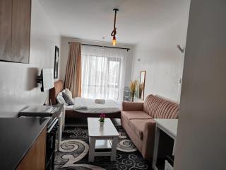 A Cosy Modern Affordable Furnished Studio Located in Tsavo Fedha - Nairobi - 1