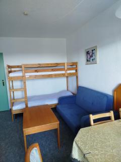 Mezonet Almberg Apartmany JaJ - Mitterfirmiansreut - 8