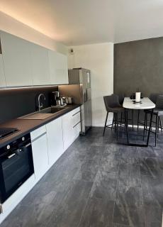 Royal Standing- Terrasse & Parking Privé - Évian-les-Bains - 9