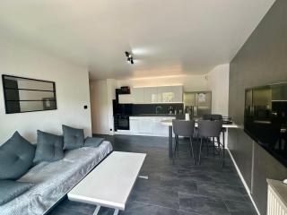 Royal Standing- Terrasse & Parking Privé - Évian-les-Bains - 8