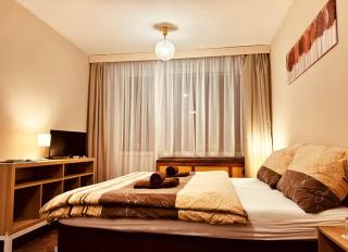 Hotel Slatina - Lipová-lázně - 7